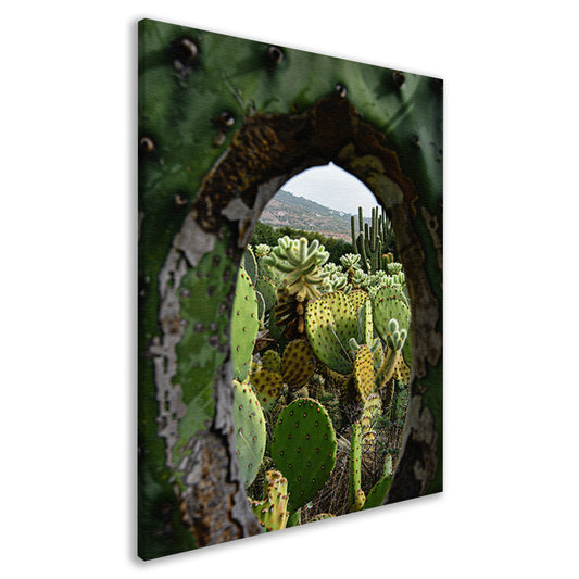 Doorkijkje naar een cactusparadijs canvas