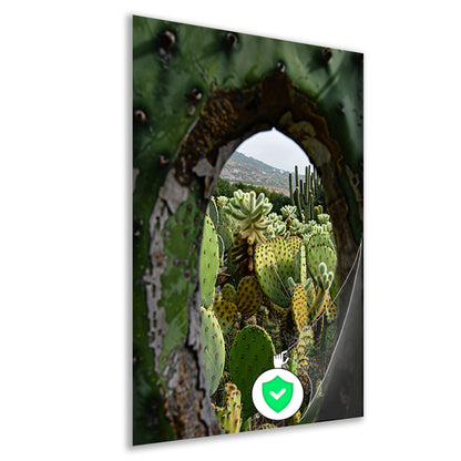 Doorkijkje naar een cactusparadijs poster