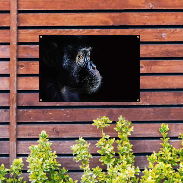 De Stille Getuige - Aap in het Donker tuinposter