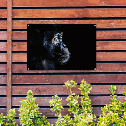 De Stille Getuige - Aap in het Donker tuinposter