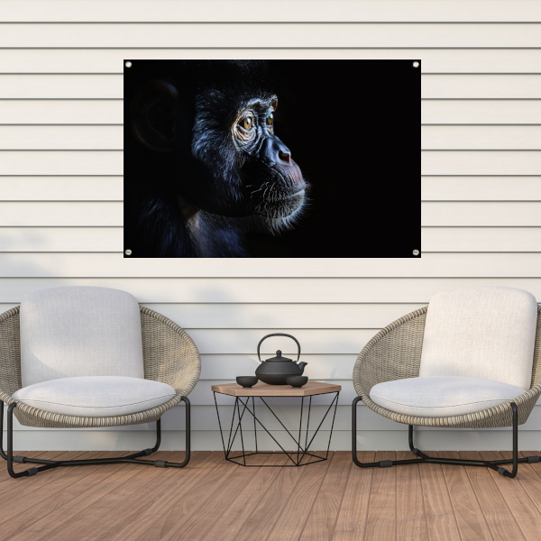 De Stille Getuige - Aap in het Donker tuinposter