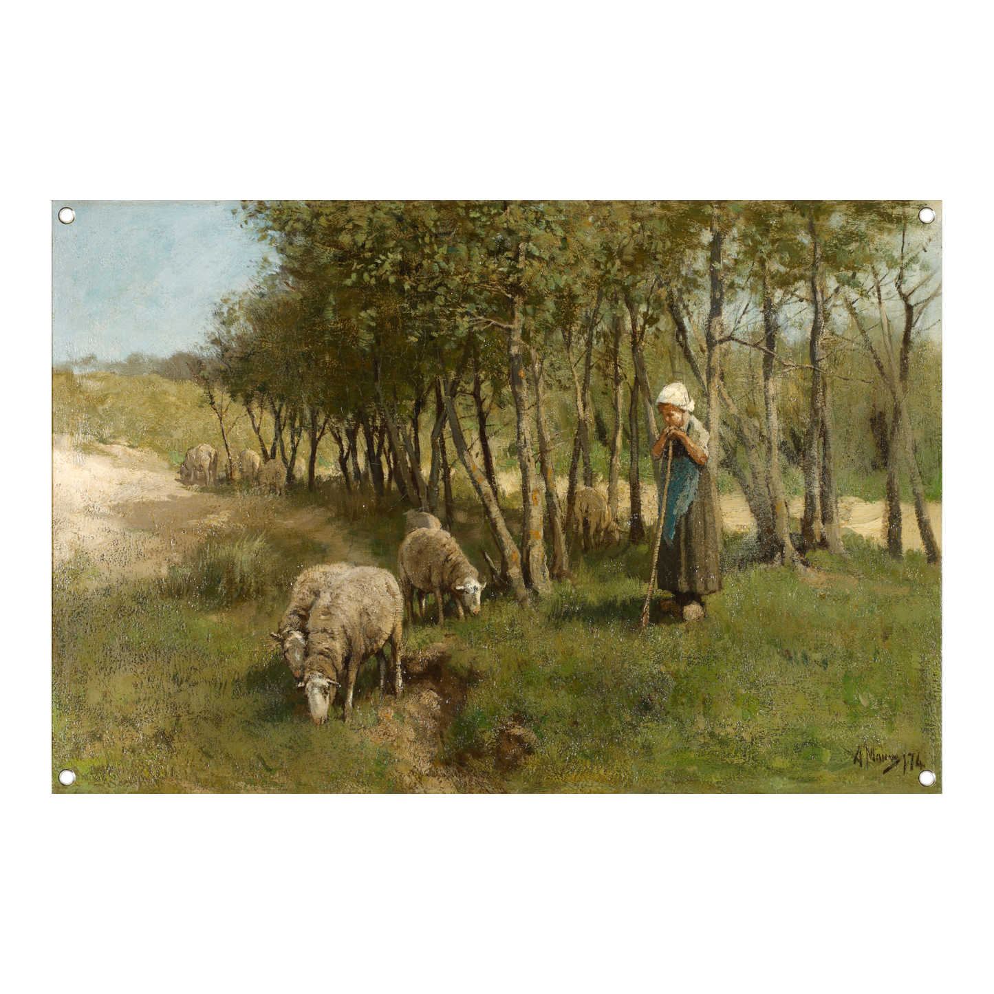 Schaap in Dekkersduin - Anton Mauve tuinposter