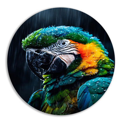 Papegaai in kleurrijke vorm aluminium muurcirkel