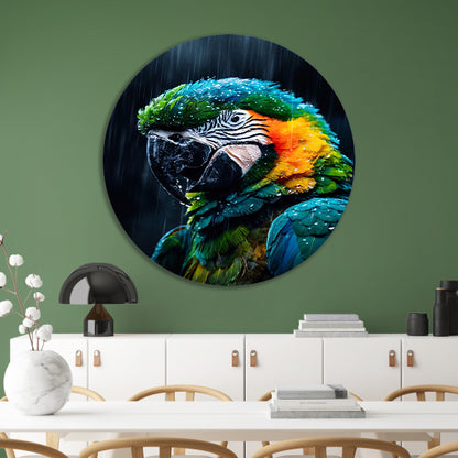 Papegaai in kleurrijke vorm aluminium muurcirkel