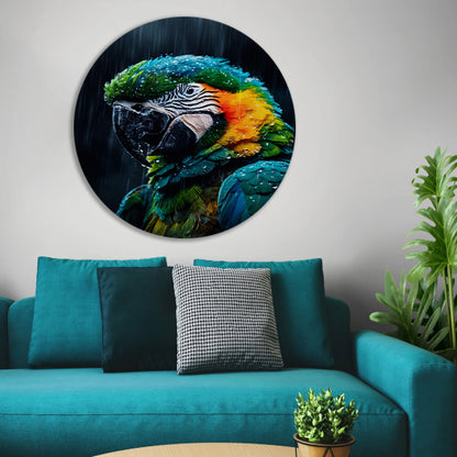 Papegaai in kleurrijke vorm aluminium muurcirkel