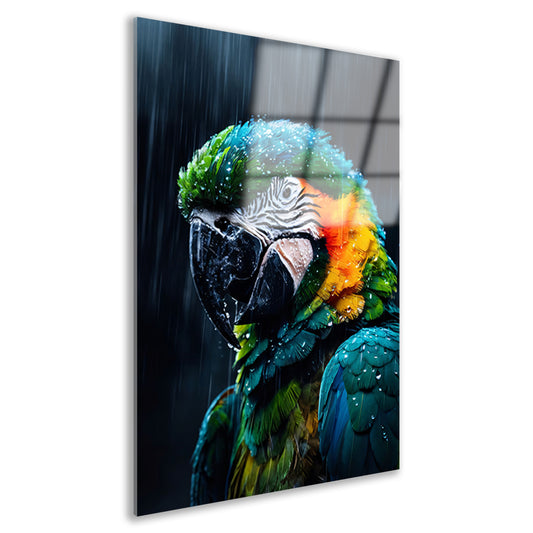 Papegaai in kleurrijke vorm Acrylglas