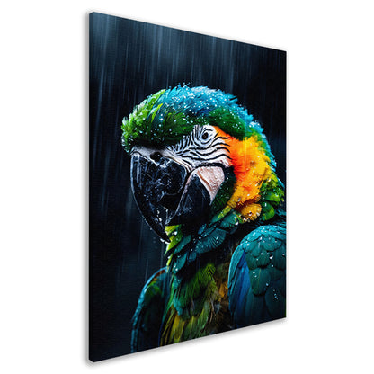 Papegaai in kleurrijke vorm canvas