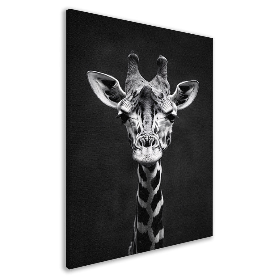 Zwart-wit portret van een giraf canvas