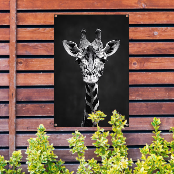 Zwart-wit portret van een giraf tuinposter