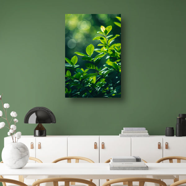 Close-up van groene bladeren in zonlicht acrylglas