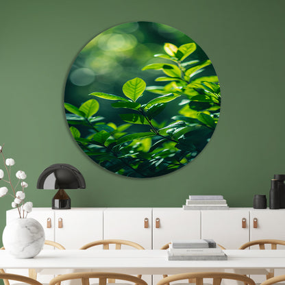 Close-up van groene bladeren in zonlicht forex muurcirkel