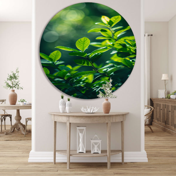 Close-up van groene bladeren in zonlicht forex muurcirkel