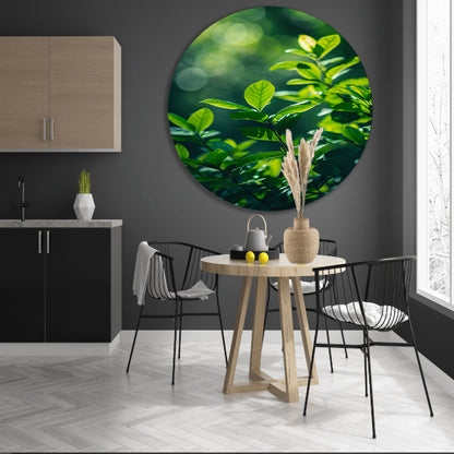 Close-up van groene bladeren in zonlicht forex muurcirkel