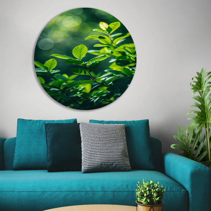 Close-up van groene bladeren in zonlicht forex muurcirkel