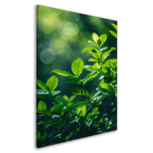 Close-up van groene bladeren in zonlicht canvas