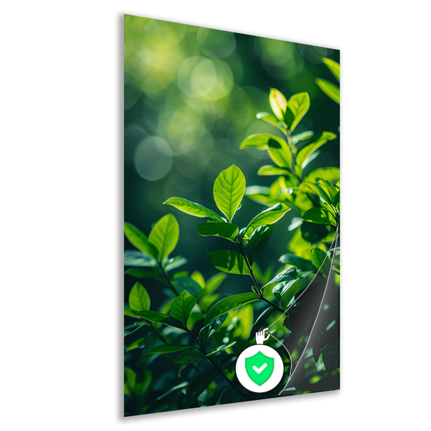 Close-up van groene bladeren in zonlicht poster
