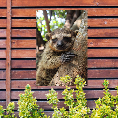 Slapende wasbeer tegen boom in bos tuinposter