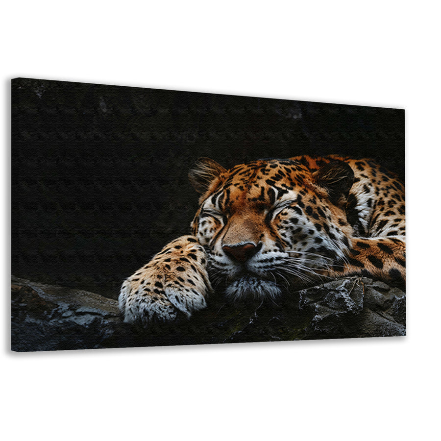 Slapende jaguar op een rotsformatie canvas