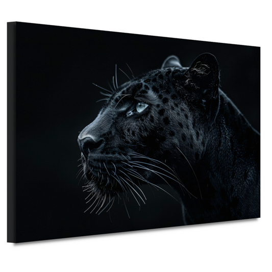De intense blik van de zwarte panter canvas