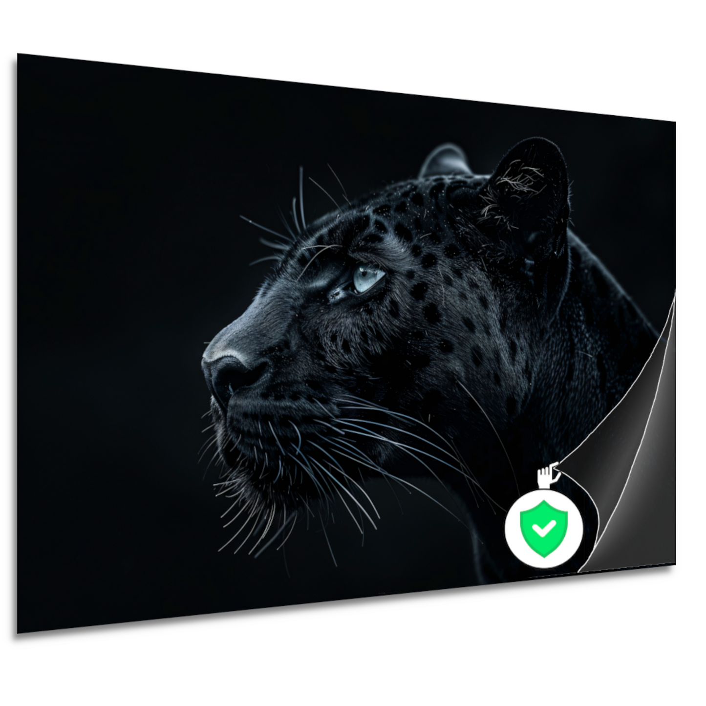 De intense blik van de zwarte panter poster