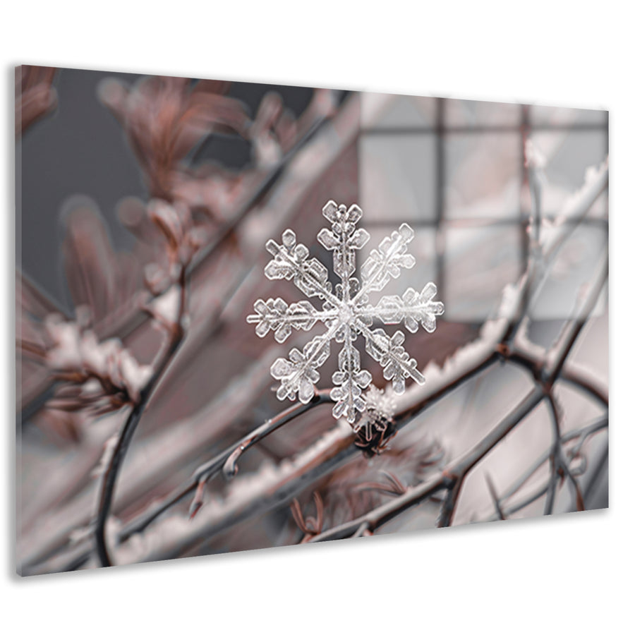 Gedetailleerde macrofoto van sneeuwvlok op takken acrylglas