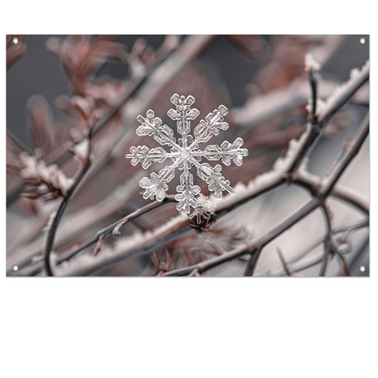 Gedetailleerde macrofoto van sneeuwvlok op takken tuinposter