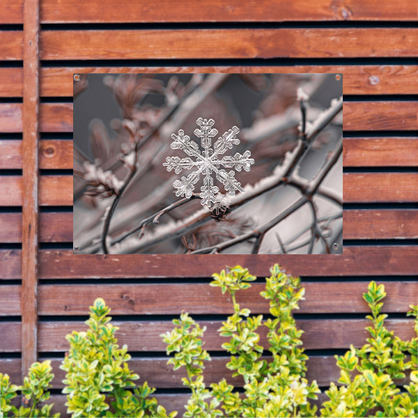Gedetailleerde macrofoto van sneeuwvlok op takken tuinposter