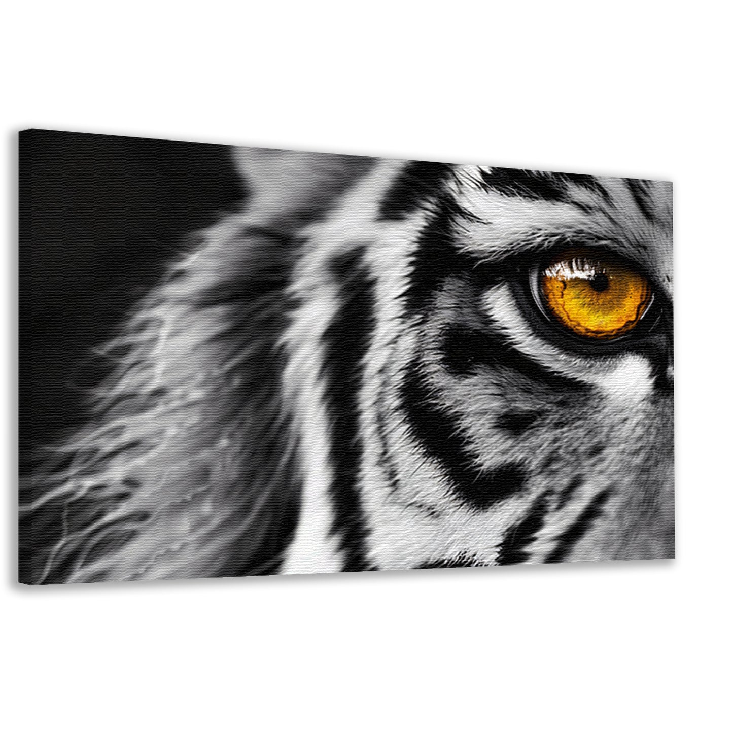 Intense blik van een tijgeroog canvas