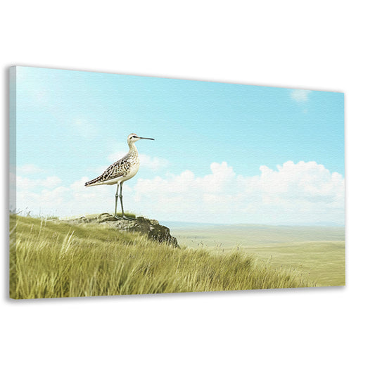 Elegante vogel op een grasheuvel schilderij canvas