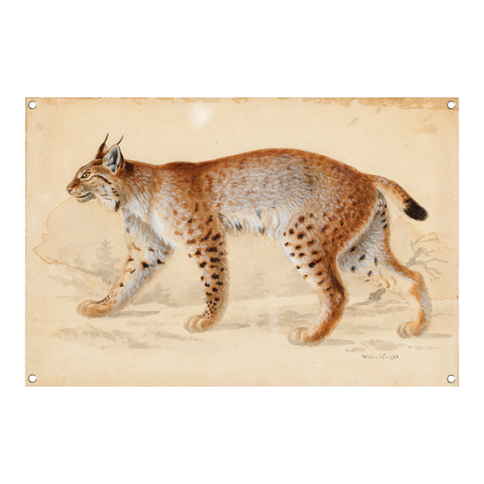 Lynx - Wilhelm von Wright tuinposter