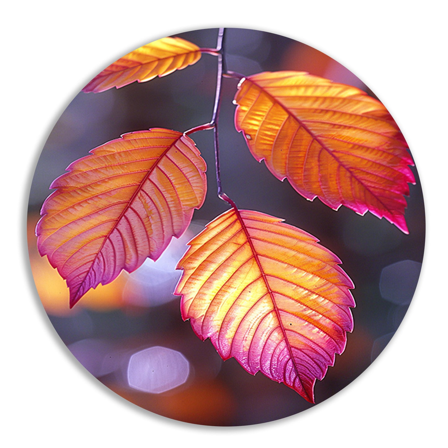 Close-up van herfstbladeren aan tak forex muurcirkel