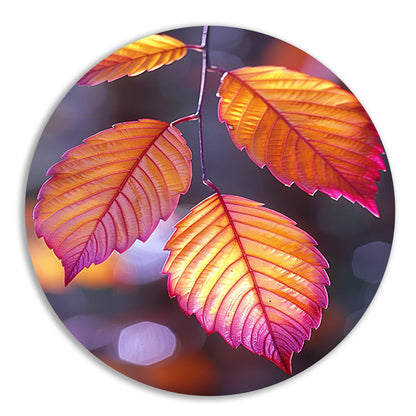 Close-up van herfstbladeren aan tak forex muurcirkel