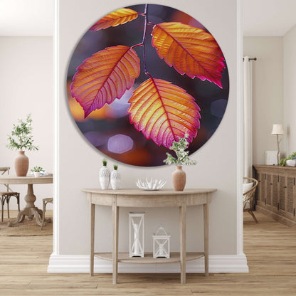 Close-up van herfstbladeren aan tak forex muurcirkel