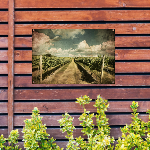 Wijngaardpad onder een dynamische wolkenhemel tuinposter