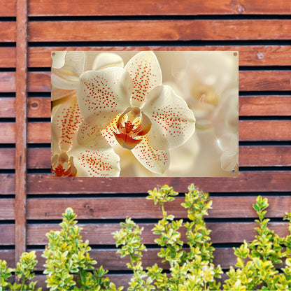 Close-up van een delicate orchidee in bloei tuinposter