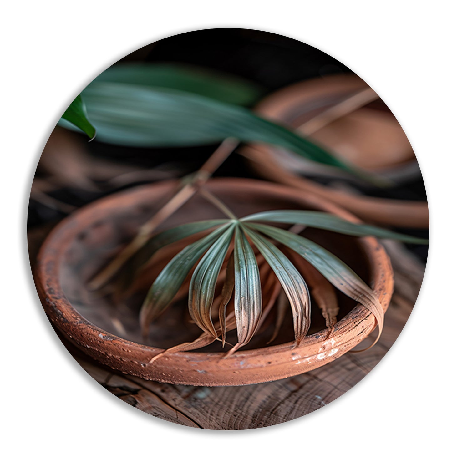 Blad in Aardewerken Pot aluminium muurcirkel