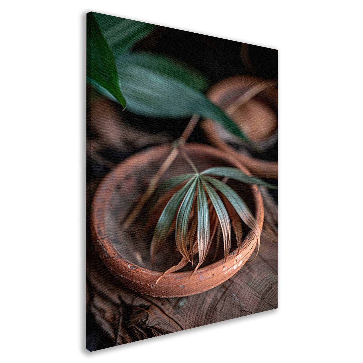 Blad in Aardewerken Pot canvas