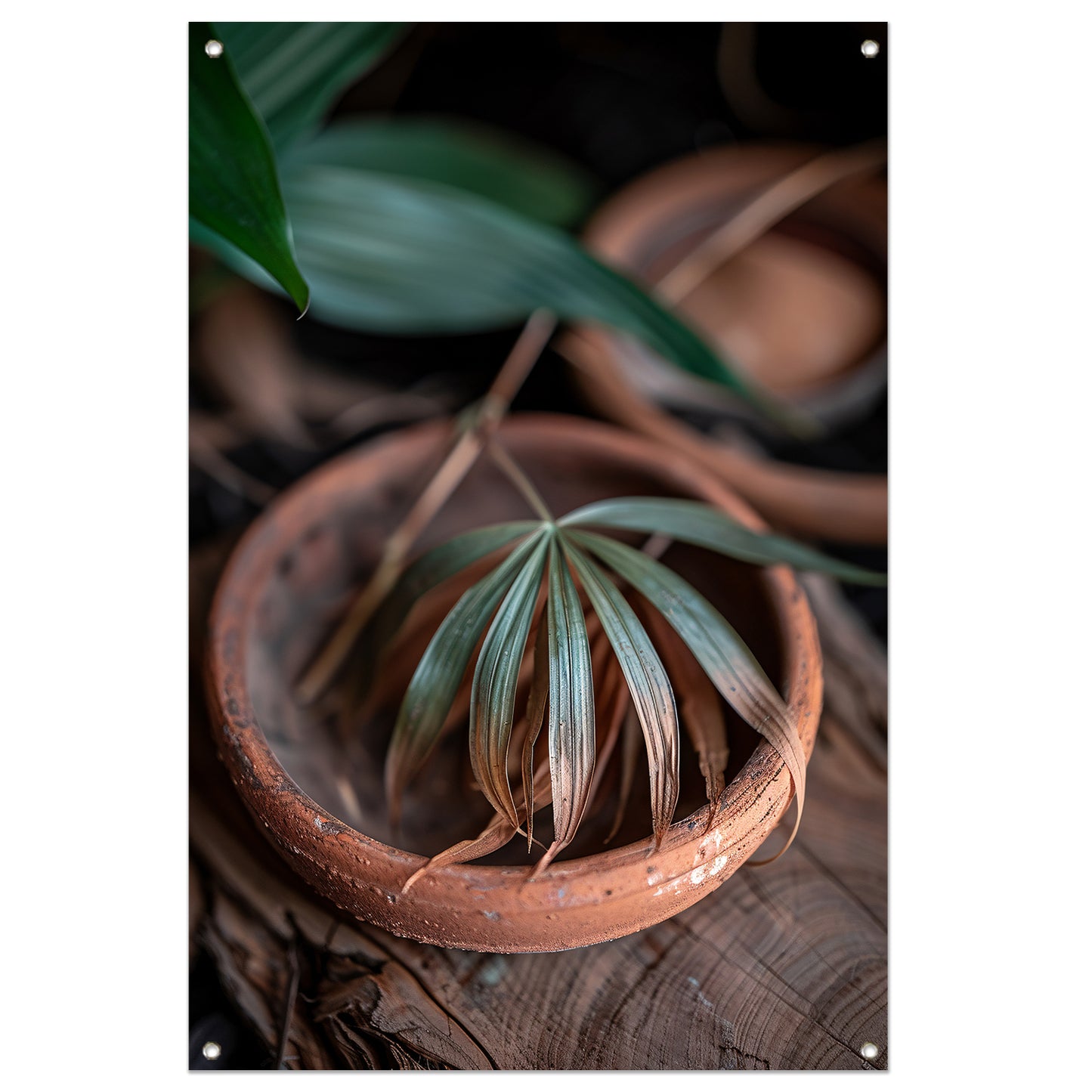 Blad in Aardewerken Pot tuinposter