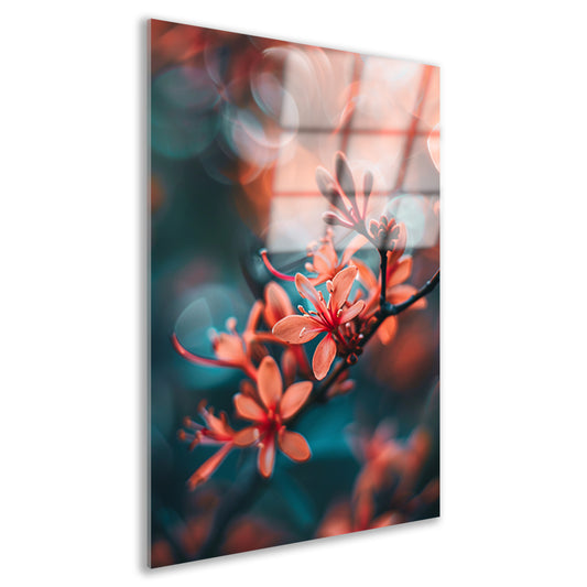 Oranje bloemen met bokeh acrylglas