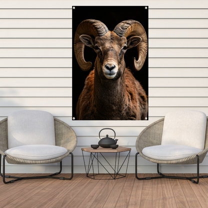 Indrukwekkende Ram met Elegante Krullende Hoorns tuinposter