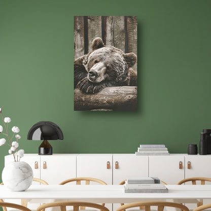 Monochrome foto van slapende beer canvas