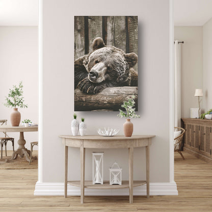 Monochrome foto van slapende beer canvas