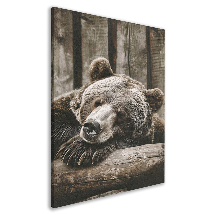 Monochrome foto van slapende beer canvas