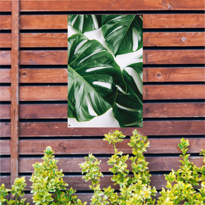 Elegante Monstera bladeren op helderwitte achtergrond tuinposter