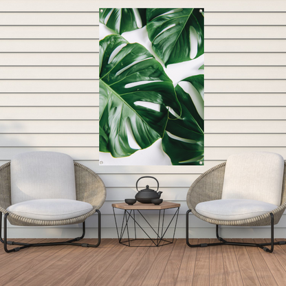 Elegante Monstera bladeren op helderwitte achtergrond tuinposter