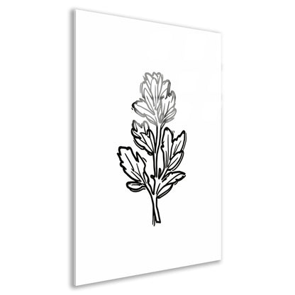 Minimalistische zwart-witte bloem lijntekening acrylglas