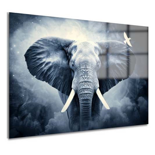 Silhouet olifant zonsondergang acrylglas