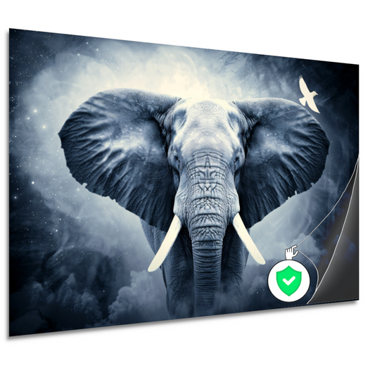 Silhouet olifant zonsondergang poster