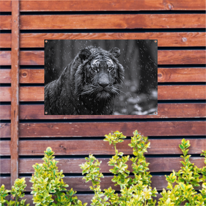 Majestueuze tijger in de regen tuinposter