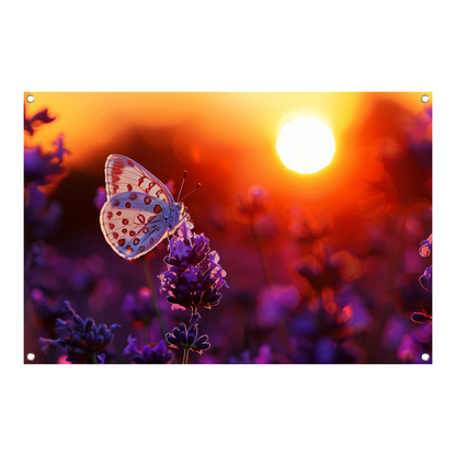 Vlinder rust op lavendel in oranje zonsondergang tuinposter